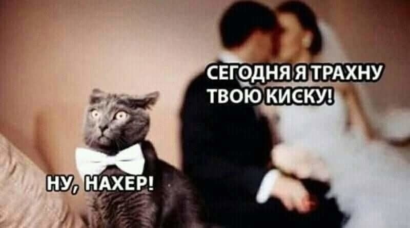 Большая тарелка улыбатора