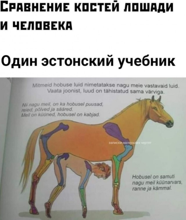 Большая тарелка улыбатора