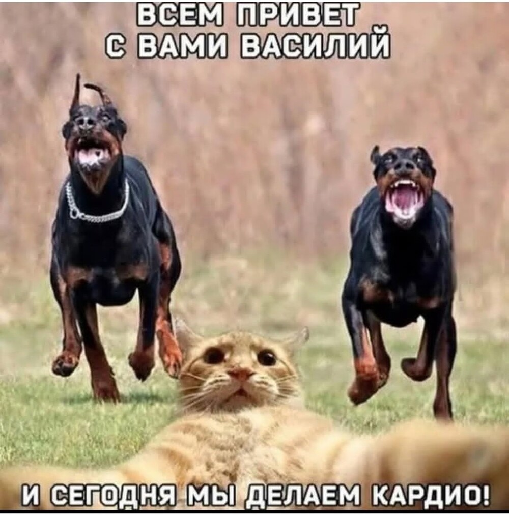 Большая тарелка улыбатора