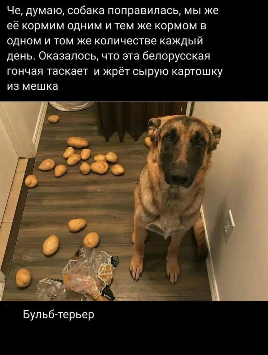 16.