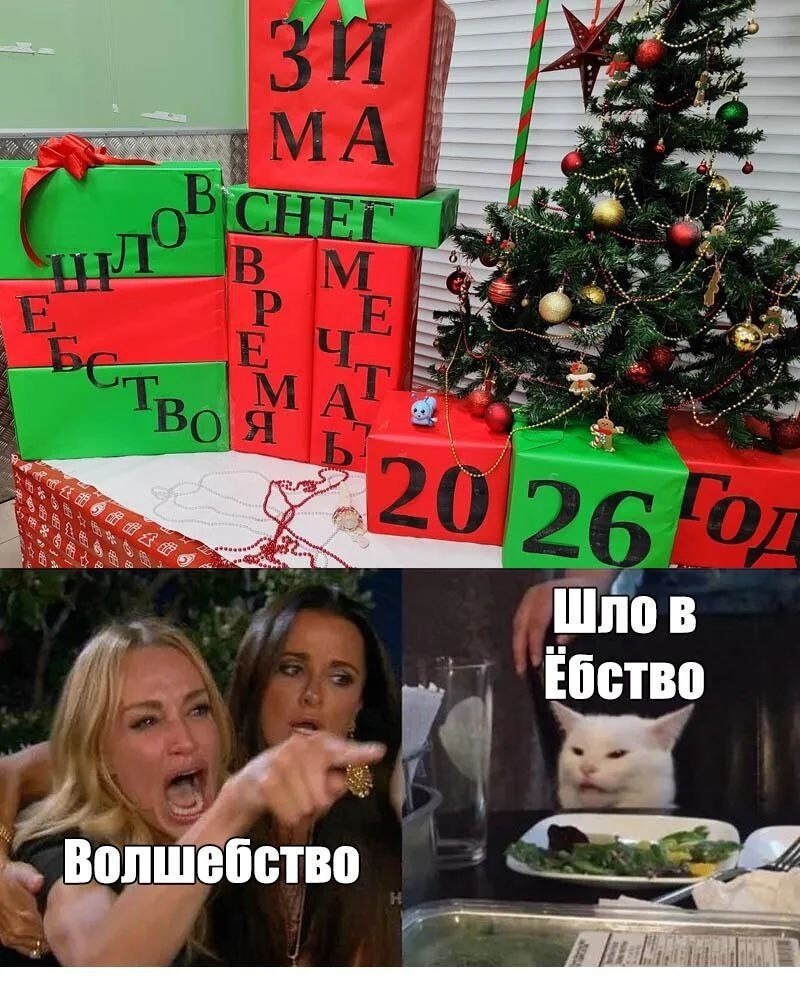 7. Дело для недовольного кота и кричащей дамочки