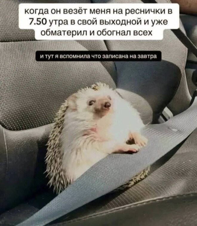 Смешные картинки