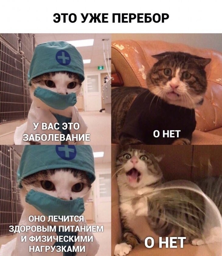 Смешные картинки