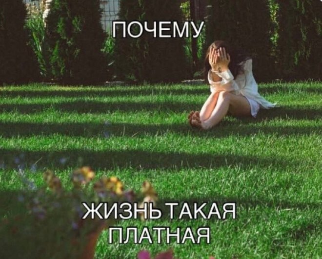 Смешные картинки