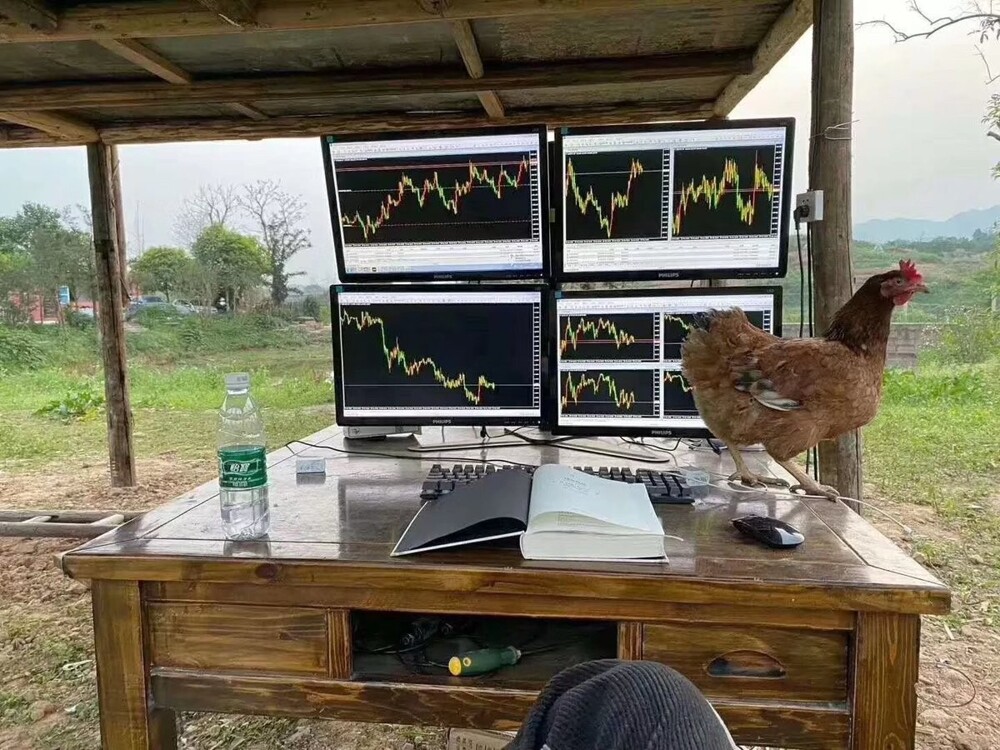 На общую тему&nbsp;