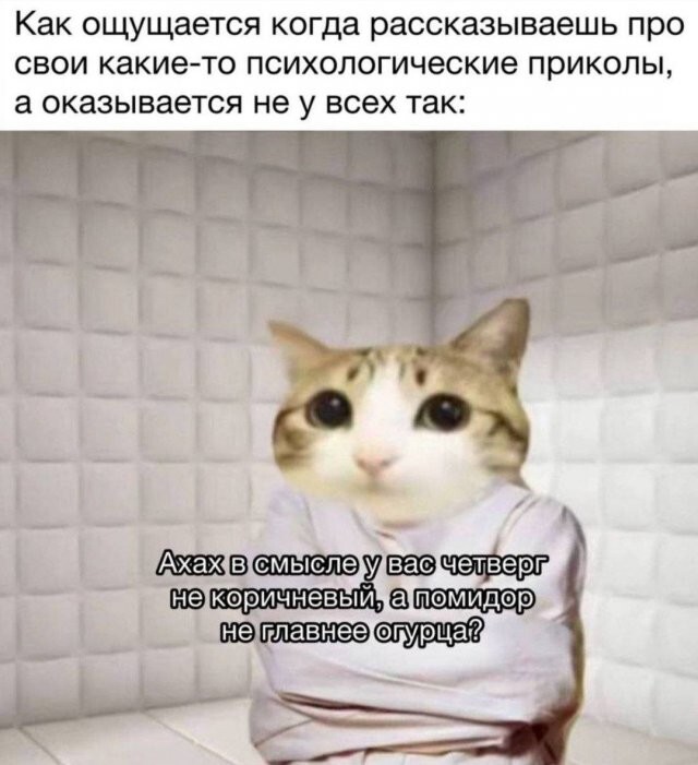 Скрины из соцсетей