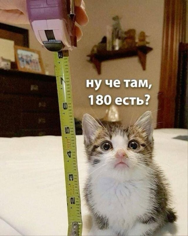 Скрины из соцсетей