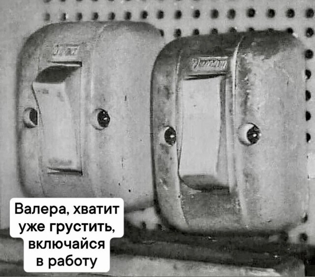 Скрины из соцсетей
