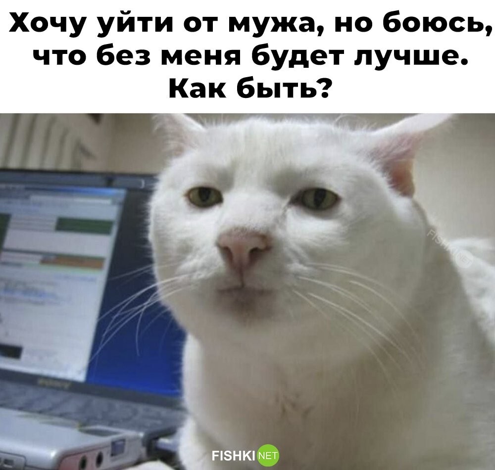 Скрины из соцсетей