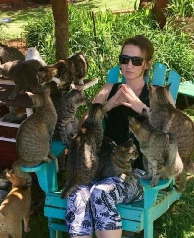 Намешалось