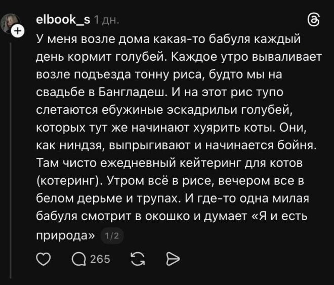 Смешные картинки