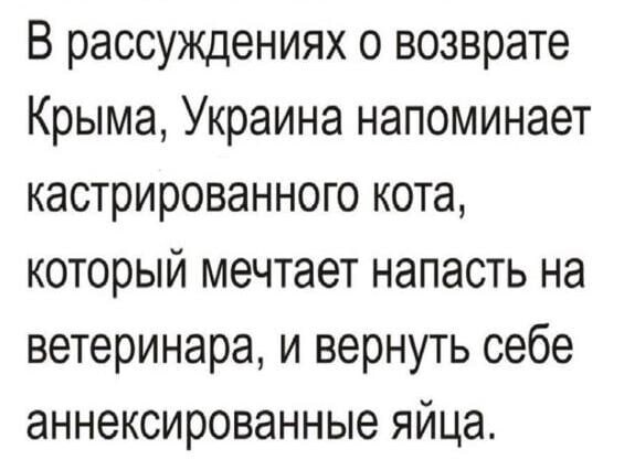 Лишь о политике