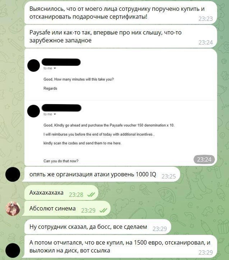 Селфи в отчаянии: как российские программисты затроллили мошенника до истерики