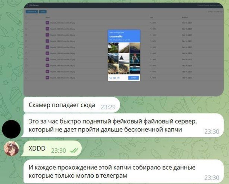 Селфи в отчаянии: как российские программисты затроллили мошенника до истерики