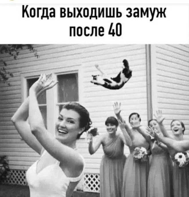 Смешные картинки