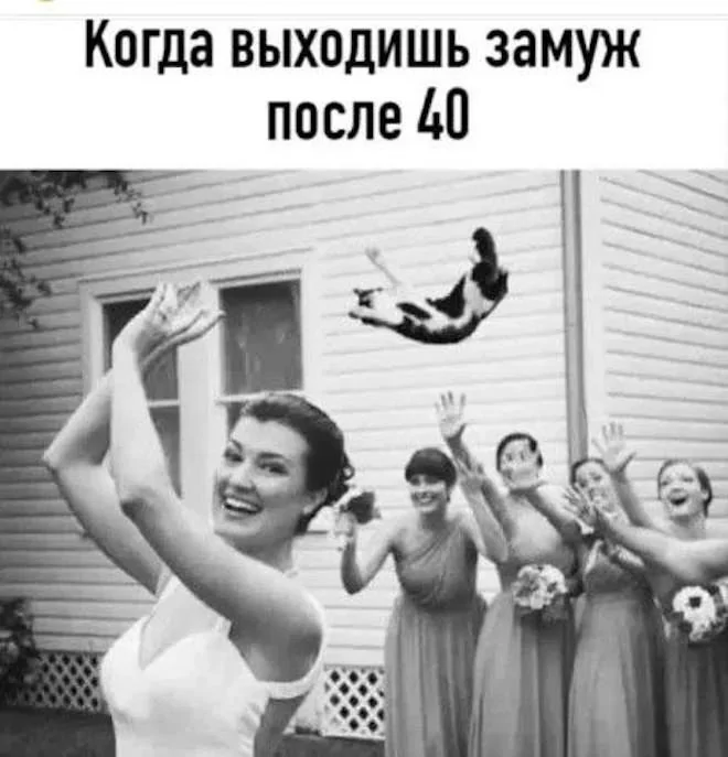0f78a6a74af779d42f150086f9336df5.jpg.web