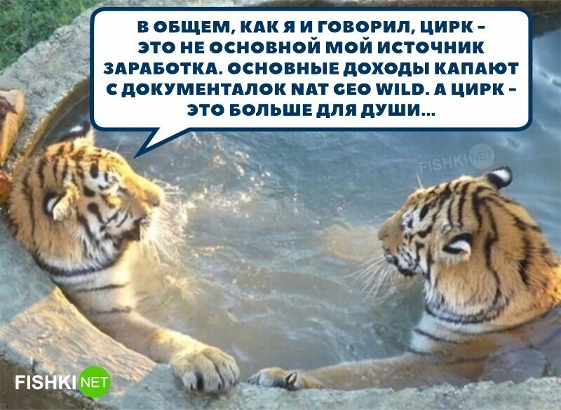 Смешные картинки