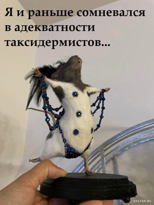 Смешные картинки