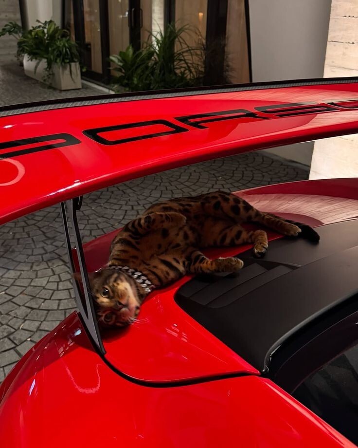 10. Когда уже не о чем мечтать