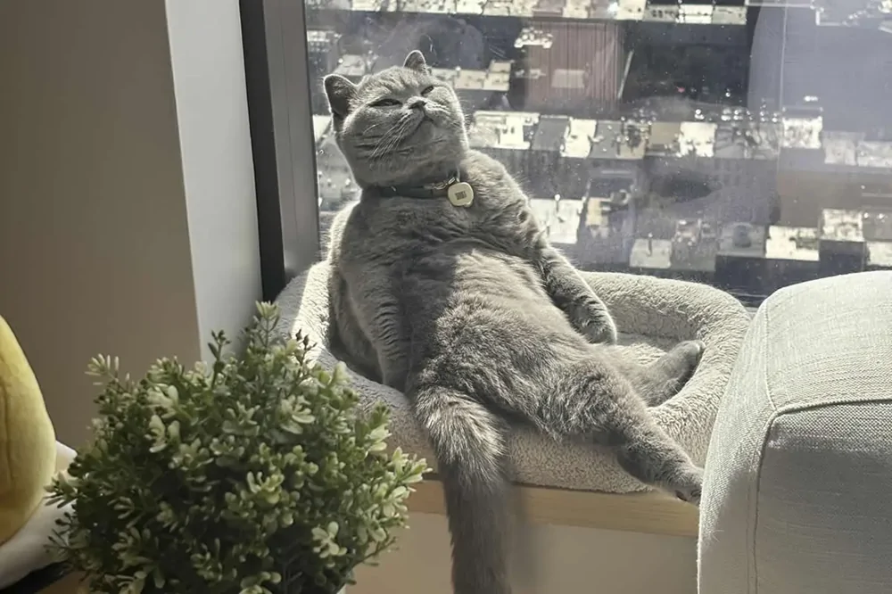 19. На вершине мира