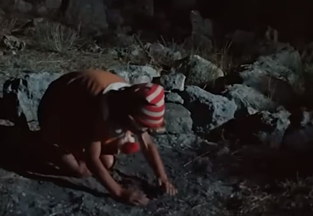 Как выжить в стране Дураков