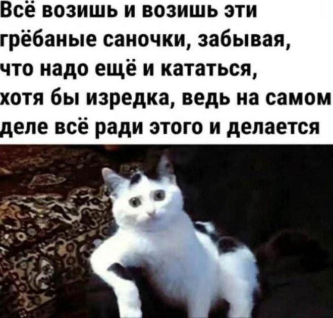 Смешные картинки