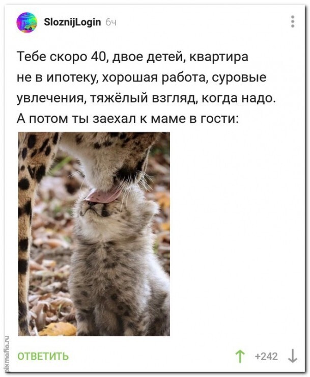Смешные картинки