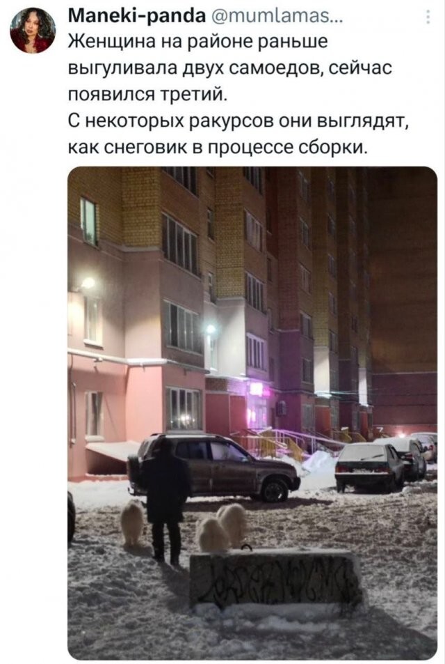 Скрины из соцсетей