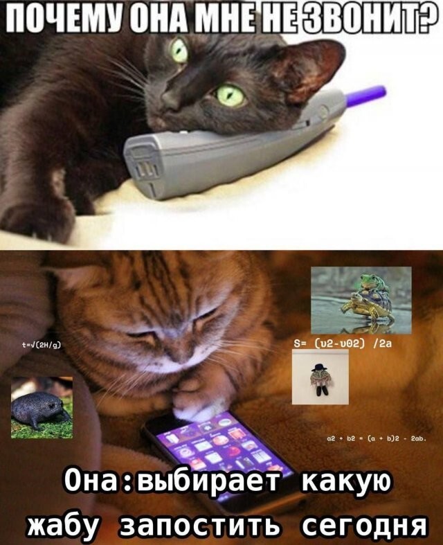 Скрины из соцсетей