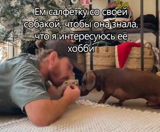 Скрины из соцсетей