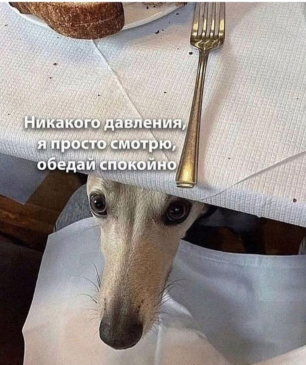 Большая тарелка улыбатора