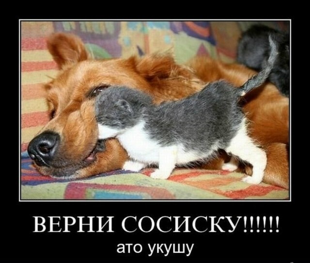 Большая тарелка улыбатора