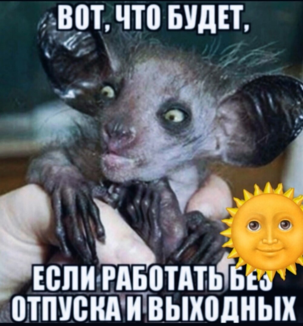 Большая тарелка улыбатора