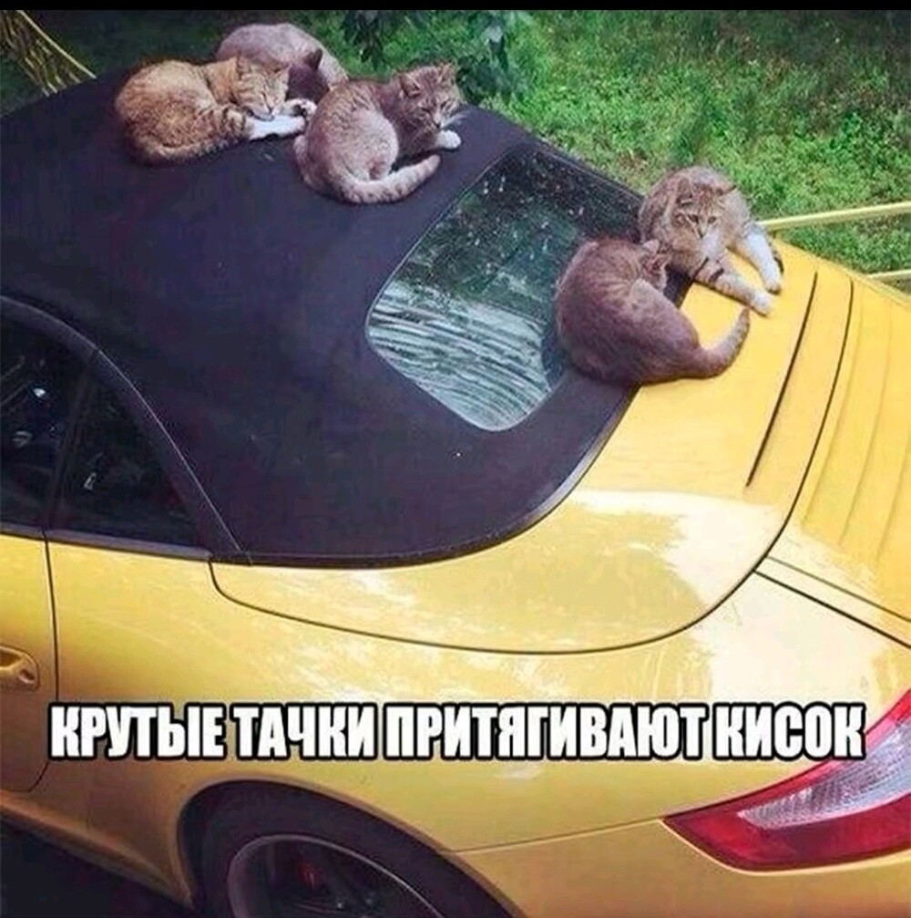 Большая тарелка улыбатора
