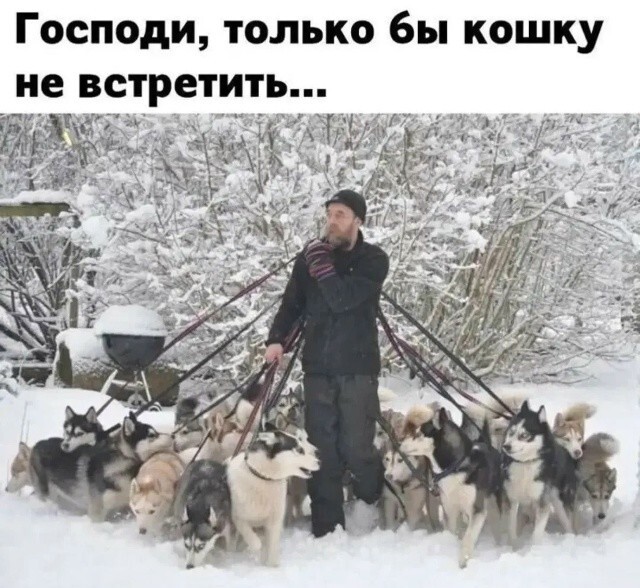 Большая тарелка улыбатора