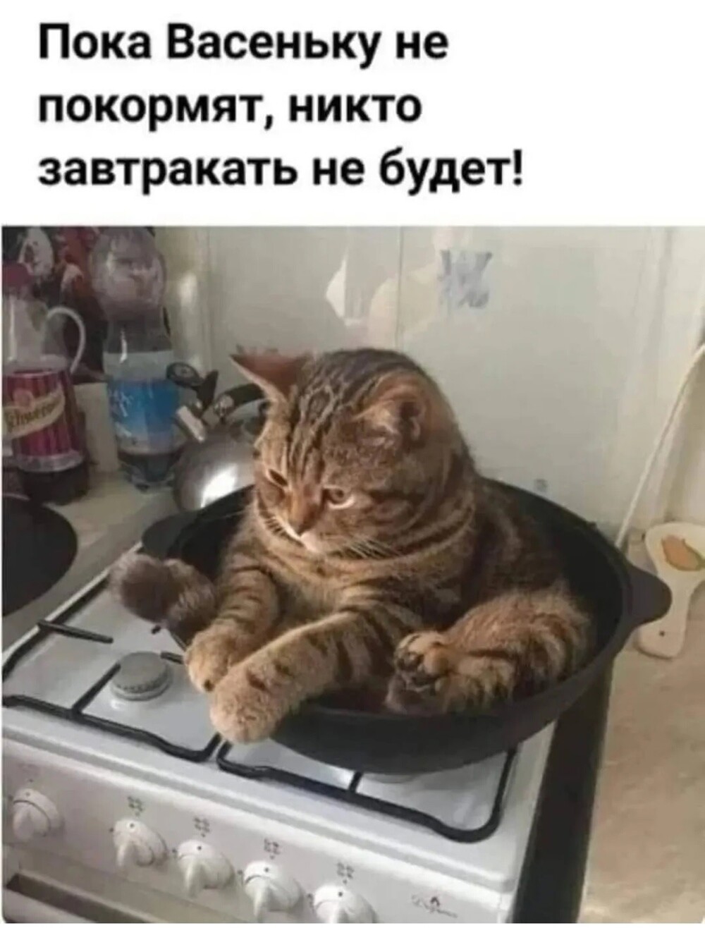Большая тарелка улыбатора