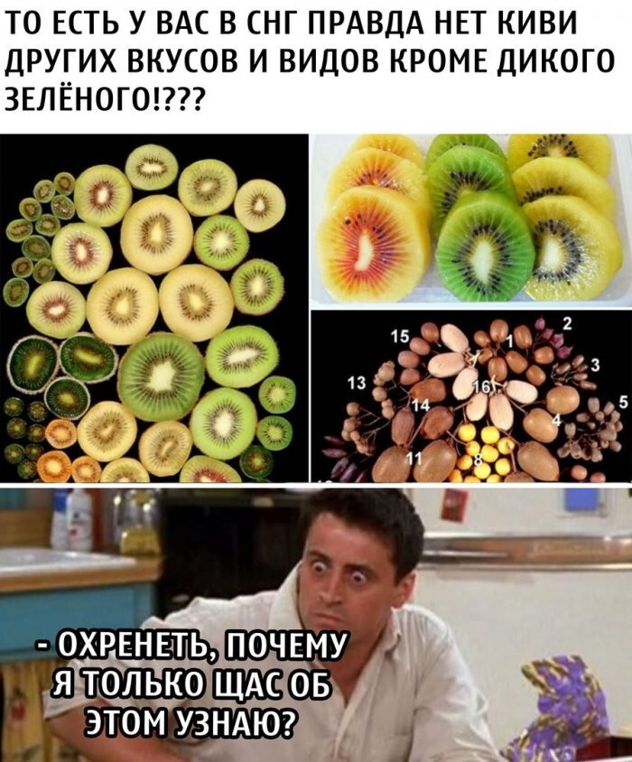 Смешные картинки