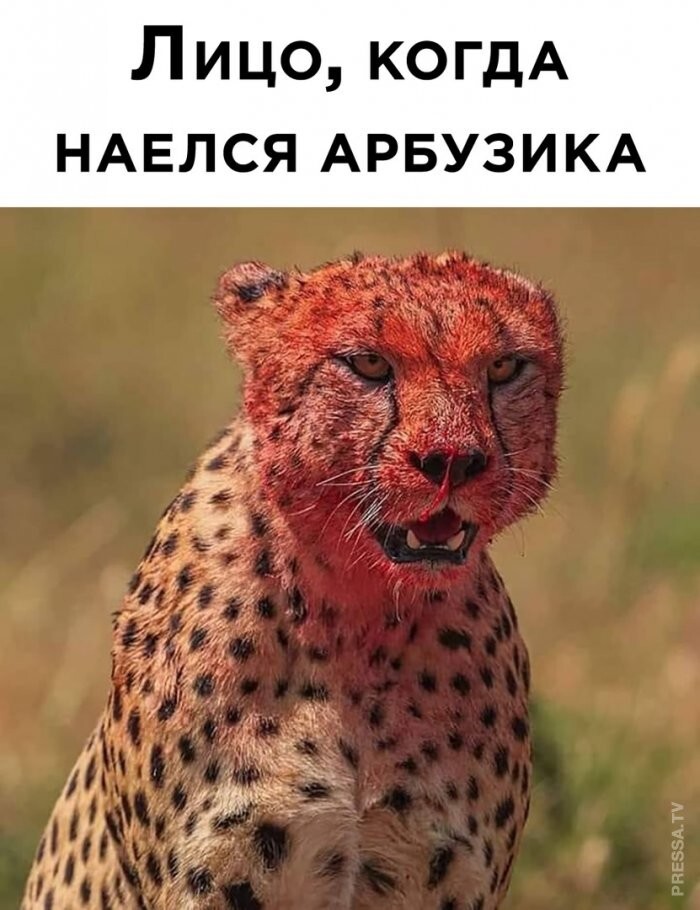 Смешные картинки