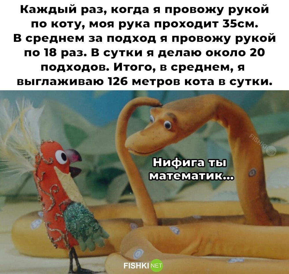 Смешные картинки