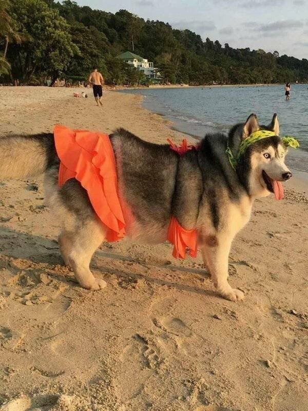 Намешалось