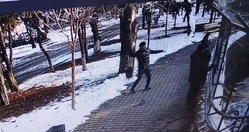 Посетитель зоопарка кидал в тигров снежками, стараясь их "расшевелить"