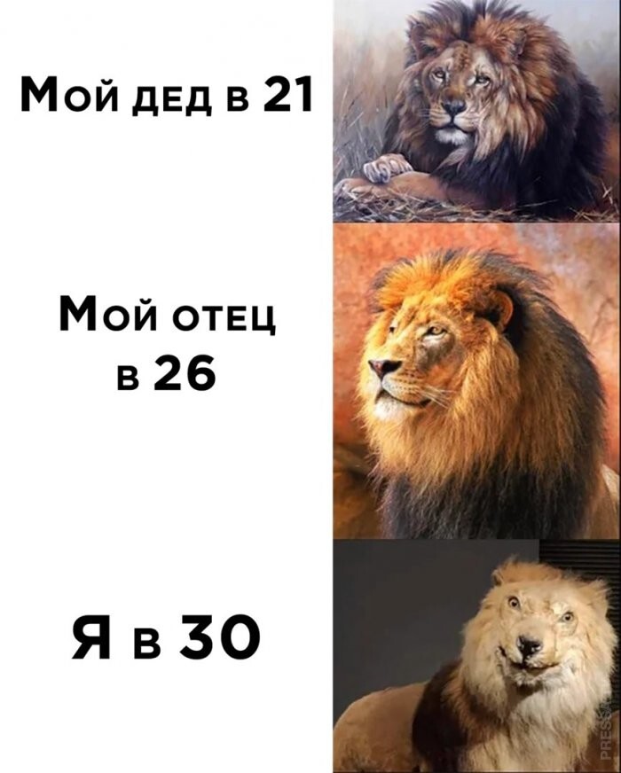 Смешные картинки
