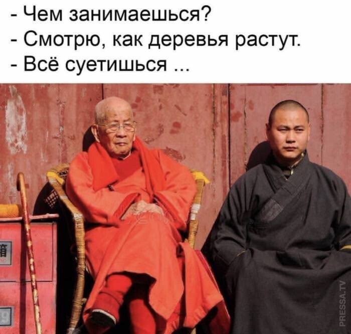 Смешные картинки