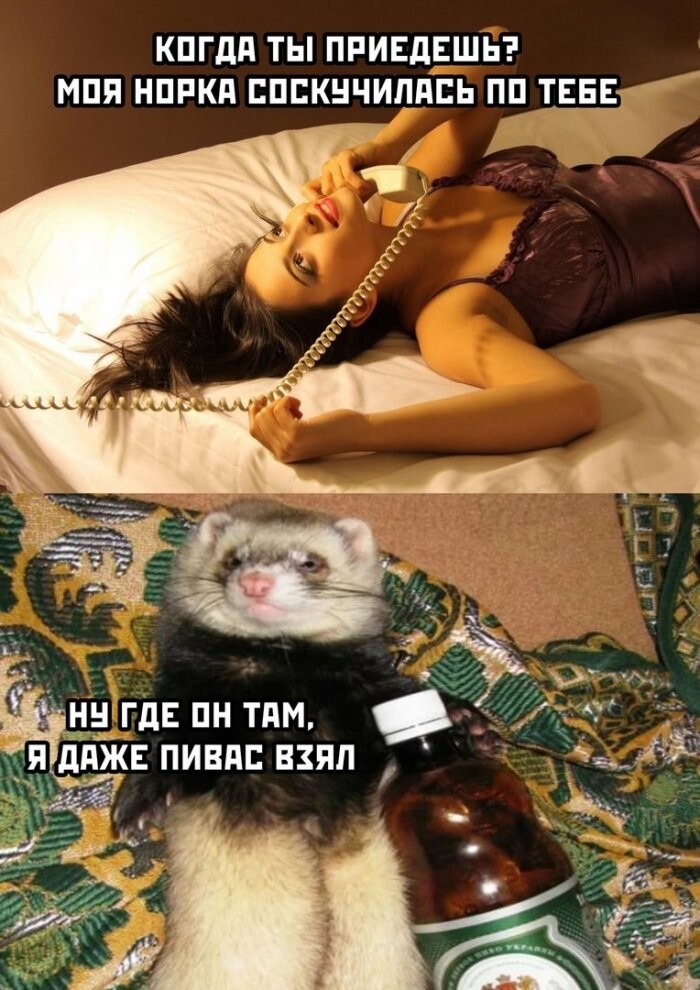 Смешные картинки