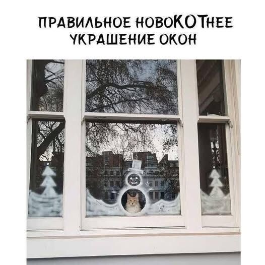Большая тарелка улыбатора