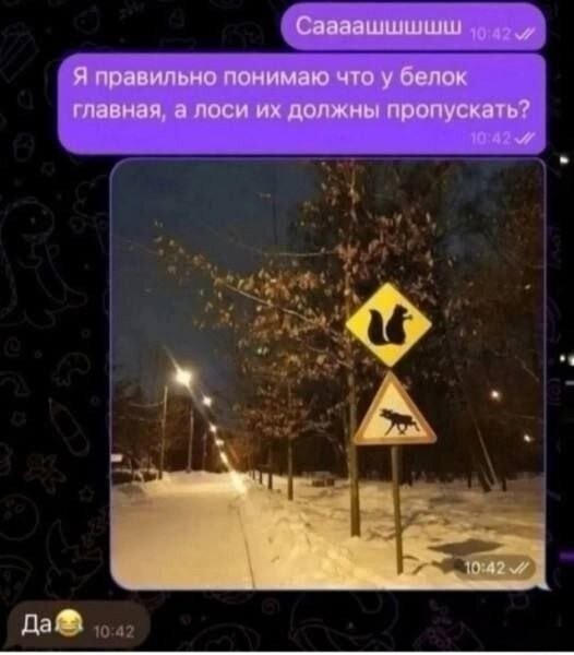 Большая тарелка улыбатора