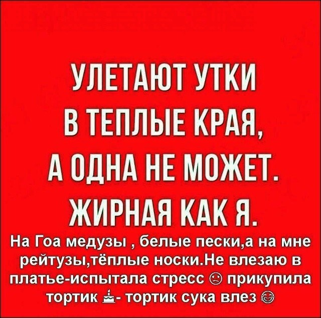 Большая тарелка улыбатора