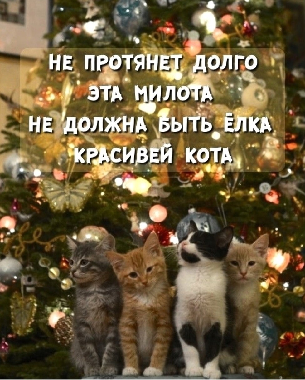 Большая тарелка улыбатора