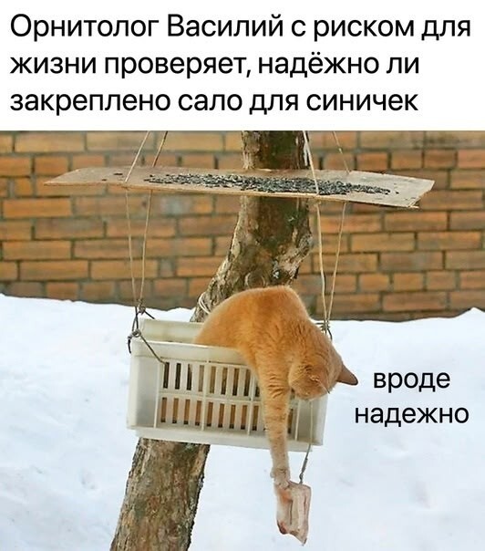 Большая тарелка улыбатора