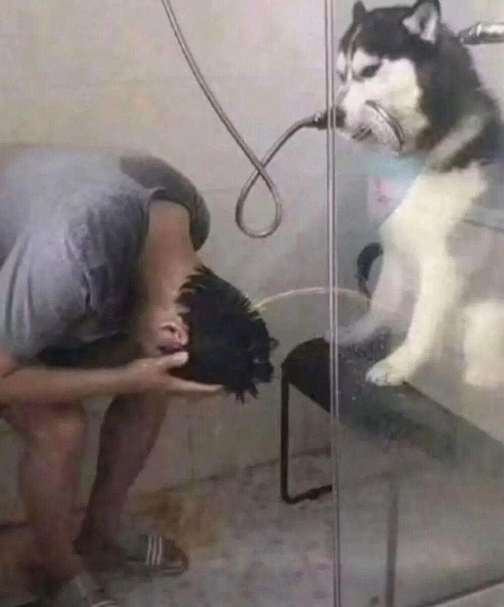 Помощник
